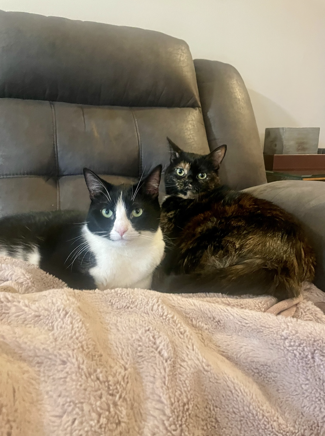 Cookie and Sundae Photo